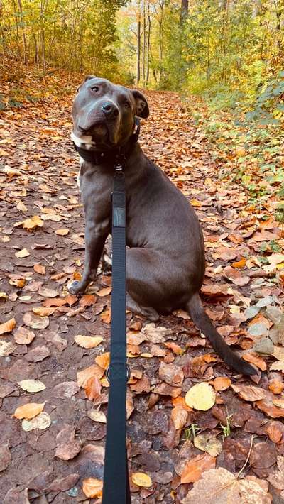 Fellnaseliebe-Beitrag-Bild