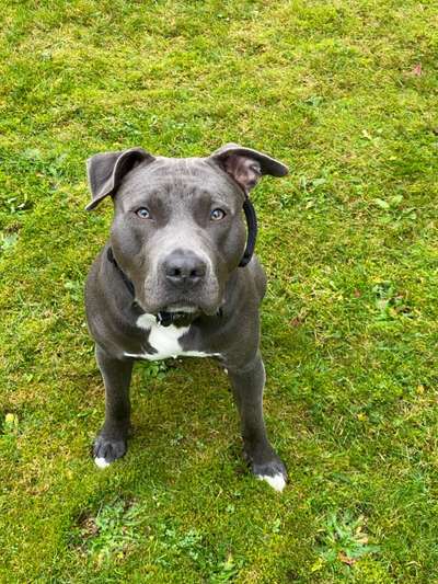 Fellnaseliebe-Beitrag-Bild