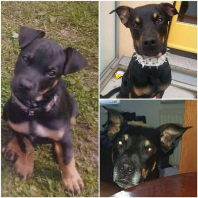 Foto Challenge 3-Beitrag-Bild