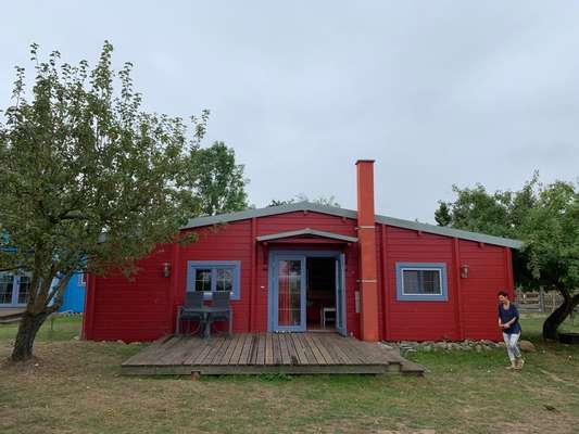 Urlaub Ost/Nordsee am Naturstrand-Beitrag-Bild