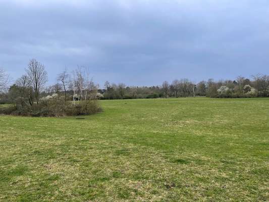 Hundeauslaufgebiet-Bürgerpark Nord (Bilderstöckchen)-Bild