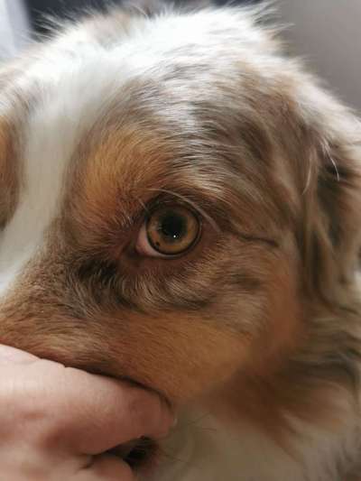 Fleck im Auge-Beitrag-Bild