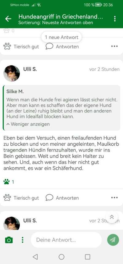 Hundeangriff in Griechenland - wie verhindern, vorbeugen?-Beitrag-Bild