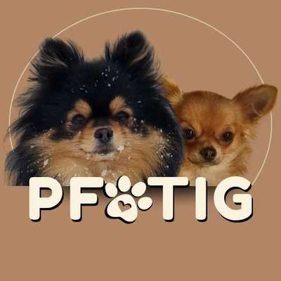 Ernährungsberater Pfotig - Hundeernährungsberatung in Kiefersfelden  – Dogorama