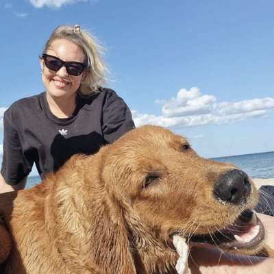 Hundetreffen-Spielkumpel gesucht