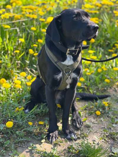 Fotowettbewerb Natur-Beitrag-Bild