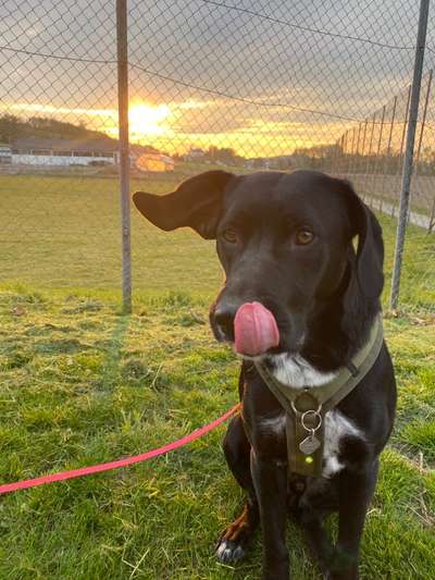 Fotochallange 84-Beitrag-Bild