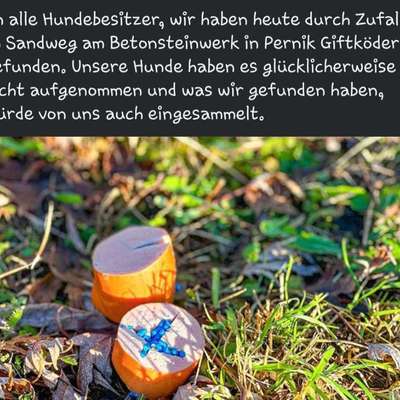 Giftköder-Giftköder-Bild