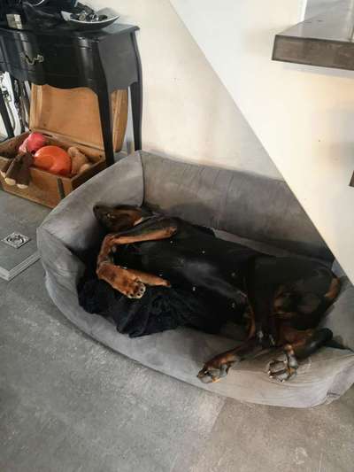 Die unbequemsten und lustigsten Schlafpositionen-Beitrag-Bild