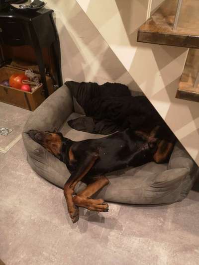 Die unbequemsten und lustigsten Schlafpositionen-Beitrag-Bild