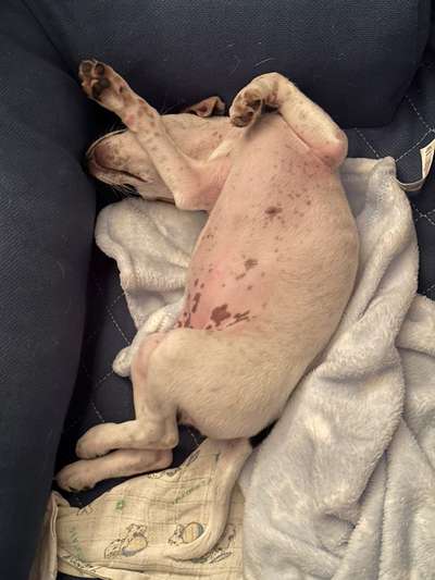 Foto Challenge - Zeigt her eure Bäuche-Beitrag-Bild