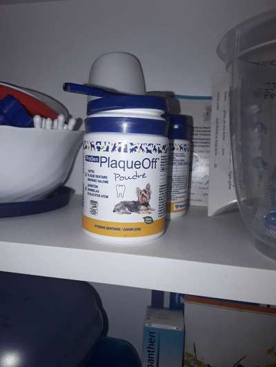 Zahnpflege... putzen, Spray, Gel oder Pulver?-Beitrag-Bild