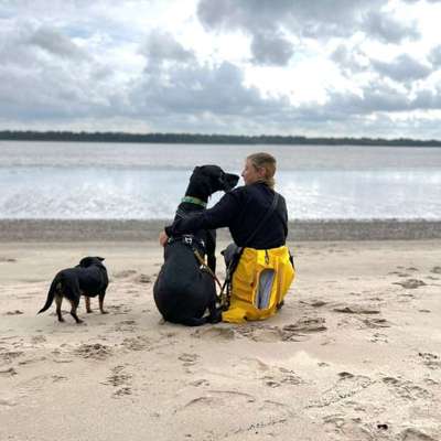 Hundetreffen-Social Walks / Spaziergänge-Profilbild