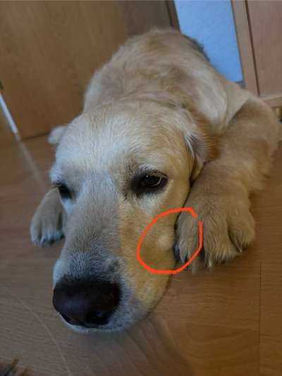 Komischer Knubbel im Gesicht-Beitrag-Bild