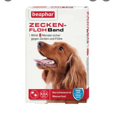 Ungezieferhalsbänder-Beitrag-Bild