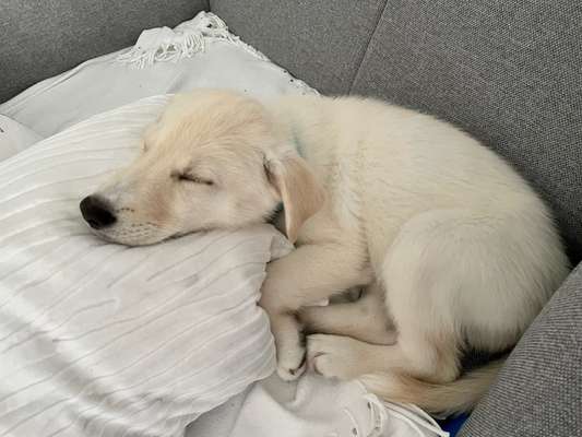 Schlafzeit!💖-Beitrag-Bild