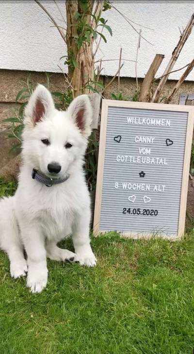 Vorfreude-Beitrag-Bild