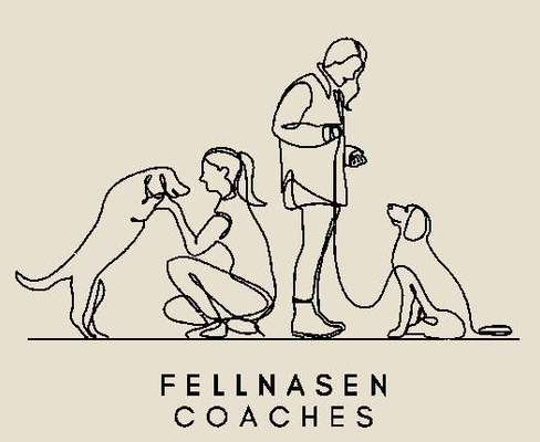 Hundeschulen-Fellnasen-Coaches - Henzelmann&Stichling-Bild