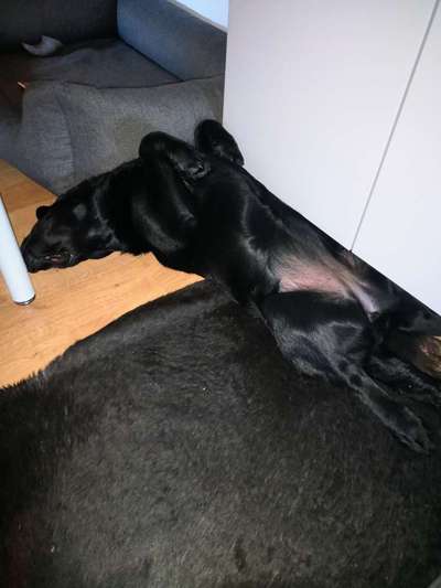 Verrückte Schlafpositionen-Beitrag-Bild