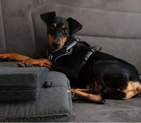 Lieblingsbild-Beitrag-Bild