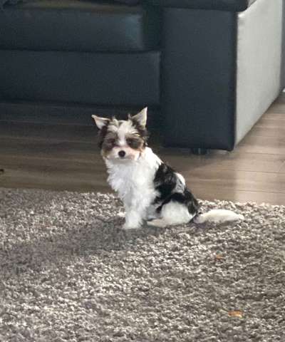 Erstes Bild-Beitrag-Bild