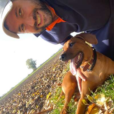 Hundetreffen-Ridgeback sucht Partner zum spielen-Profilbild