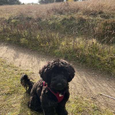 Melissa's Profilbild