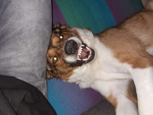 Challenge Nr. 10: "Das schönste Lächeln"-Beitrag-Bild