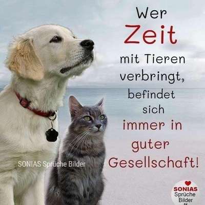 Angelina's Profilbild