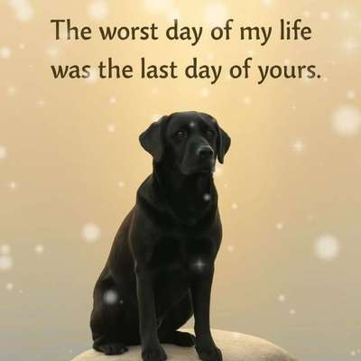 aktuelles Foto Gruppe Trauer um ein Haustier