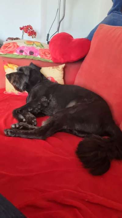 Schlafzeit!💖-Beitrag-Bild