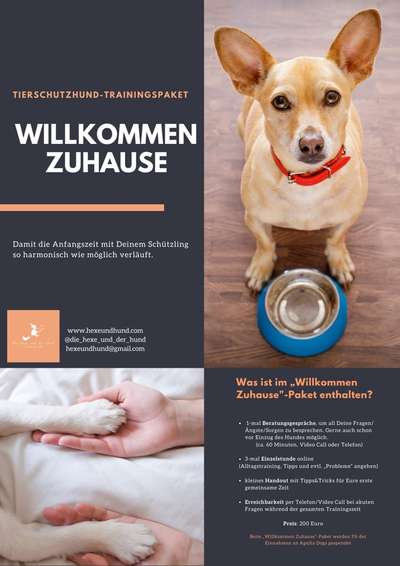 Giftköder-Willkommen-Zuhause-Paket-Bild