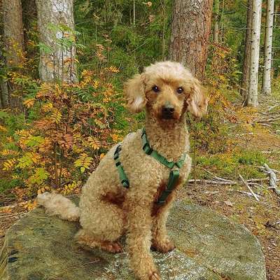 Christina's Profilbild