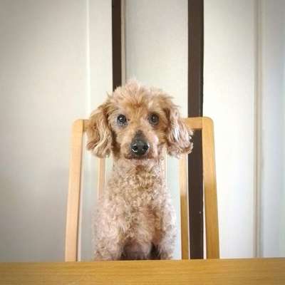 Christina's Profilbild