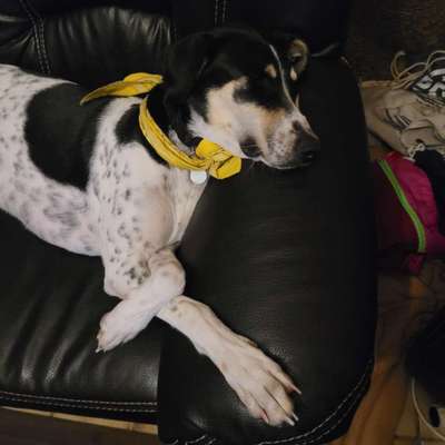 FOTO-Challenge  NR. 91: Die pure Entspannung-Beitrag-Bild