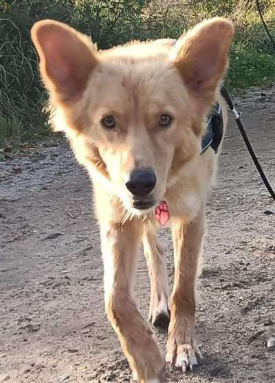 Fotochallange Nr. 57     PORTRÄT.   Beendet!!!!!!!!-Beitrag-Bild