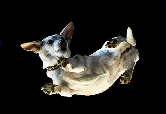 Lieblingsbild-Beitrag-Bild