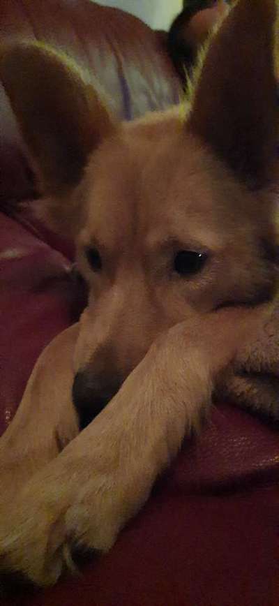 Fotochallange Nr. 57     PORTRÄT.   Beendet!!!!!!!!-Beitrag-Bild