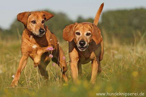 Lieblingsbild-Beitrag-Bild