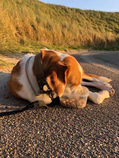 "Die eingefangene Magie des Augenblicks"-Beitrag-Bild