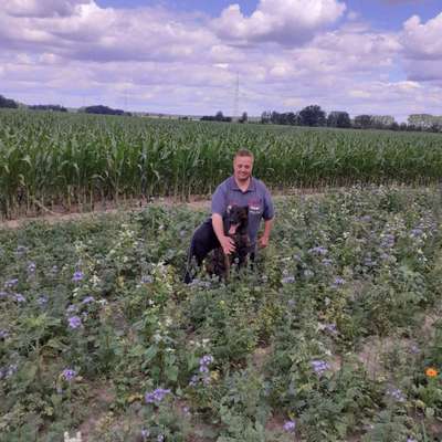 Hundetreffen-Gassi und mehr-Bild