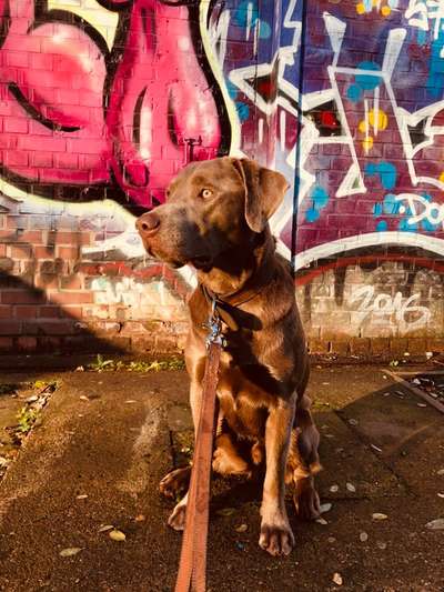 Lieblingsbild-Beitrag-Bild