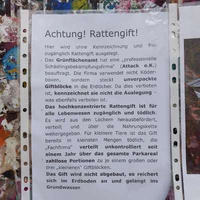 Giftköder-Rattengift-Bild