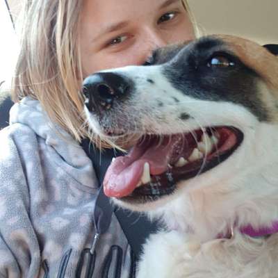 Hundetreffen-Kennenlernen für mich und meinen Hund gesucht-Bild