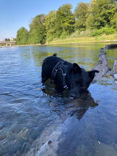 Ferien Schweiz mit Training verbringen-Beitrag-Bild