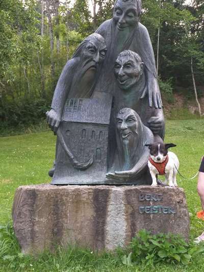 Challenge 41 - Mein Hund im Urlaub-Beitrag-Bild