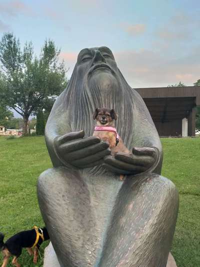 Challenge 41 - Mein Hund im Urlaub-Beitrag-Bild