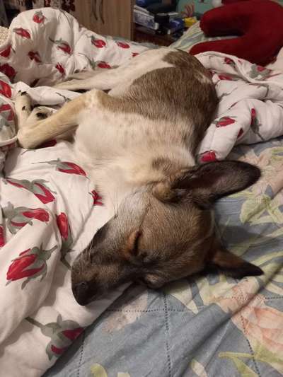 Handyfoto challenge Nr. 13: Waschlappen raus!-Beitrag-Bild