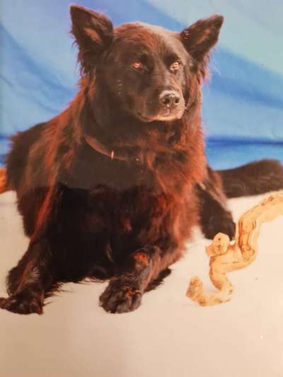 Fotochallenge Nr. 56 - geliebte Senioren-Beitrag-Bild