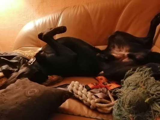 Fotochallenge Nr.65-Beitrag-Bild